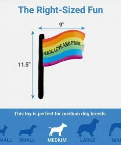 Frisco Pride Flag Flat Squeaky Dog Toy -The Frisco Store 331640 PT1. SY630 V1649785014