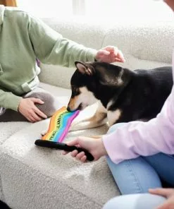 Frisco Pride Flag Flat Squeaky Dog Toy -The Frisco Store 331640 PT3. SY630 V1647355852