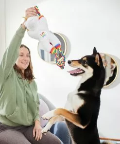 Frisco Pride Love Unicorn Plush with Rope Squeaky Dog Toy -The Frisco Store 331642 PT3. SY630 V1647355918