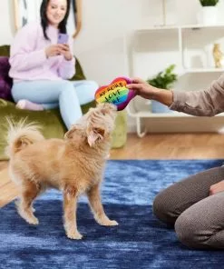 Frisco Pride My Moms Love Me Plush Squeaky Dog Toy -The Frisco Store 331646 PT3. SY630 V1647355958