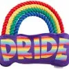 Frisco Pride Rainbow Plush with Rope Squeaky Dog Toy -The Frisco Store 331653 MAIN. SY630 V1649086609