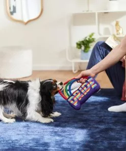 Frisco Pride Rainbow Plush with Rope Squeaky Dog Toy -The Frisco Store 331653 PT3. SY630 V1647356026