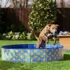 Frisco Outdoor Dog Swimming Pool, Rubber Ducky -The Frisco Store 331659 MAIN. SY630 V1646178641
