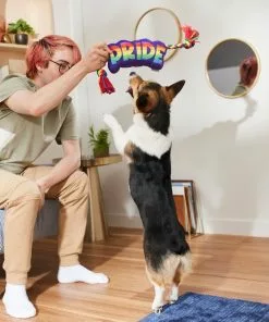 Frisco Pride Plush with Rope Squeaky Dog Toy -The Frisco Store 331661 PT3. SY630 V1647356002
