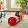 Frisco Pride Tie Dye Foldable Play Tunnel Cat Toy with Catnip -The Frisco Store 331680 MAIN. SY630 V1647356050