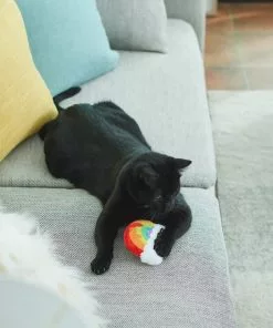 Frisco Pride Rainbow Plush Cat Toy with Silvervine -The Frisco Store 331690 PT3. SY630 V1647355685