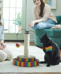 Frisco Pride Interactive Cat Scratcher Toy with Catnip -The Frisco Store 331692 PT3. SY630 V1647355666