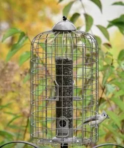 Frisco Ultra Squirrel Defense Wild Bird Feeder -The Frisco Store 333281 PT3. SY630 V1646665002