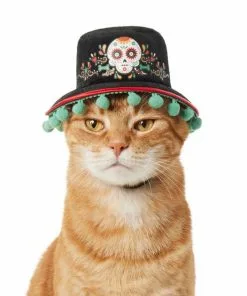 Frisco Day of the Dead Dog & Cat Hat -The Frisco Store 334496 PT2. SY630 V1658367627