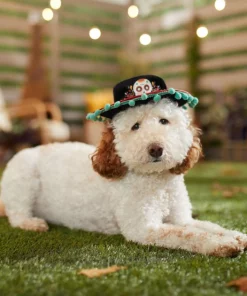 Frisco Day of the Dead Dog & Cat Hat -The Frisco Store 334496 PT6. SY630 V1657719482