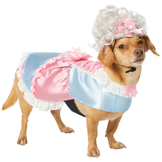 Frisco 18th Century Dog & Cat Dress Costume 3 Frisco 18th Century Dog & Cat Dress Costume