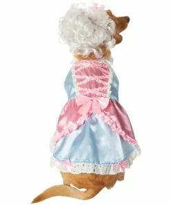 Frisco 18th Century Dog & Cat Dress Costume 11 Frisco 18th Century Dog & Cat Dress Costume -The Frisco Store 334767 PT3. SY630 V1658368065
