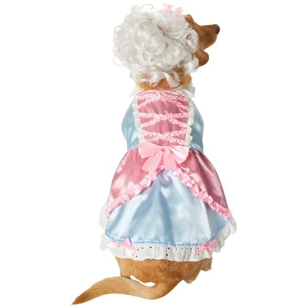 Frisco 18th Century Dog & Cat Dress Costume 5 Frisco 18th Century Dog & Cat Dress Costume - Image 3