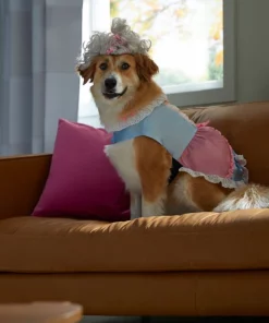 Frisco 18th Century Dog & Cat Dress Costume 14 Frisco 18th Century Dog & Cat Dress Costume -The Frisco Store 334767 PT7. SY630 V1657656879