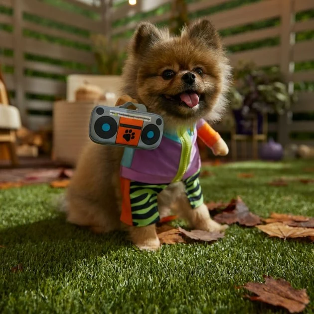 Frisco Front Walking 80s Retro Kid Dog & Cat Costume 9 Frisco Front Walking 80s Retro Kid Dog & Cat Costume - Image 7