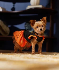 Frisco Boo Dog & Cat Dress -The Frisco Store 334825 PT7. SY630 V1657722650