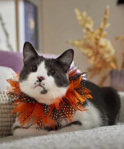 Frisco Cat Collar Ruffle Costume Accessory, One Size -The Frisco Store 334842 PT7. SY630 V1657656879