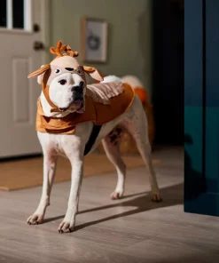 Frisco Deer Dog & Cat Costume -The Frisco Store 334873 PT7. SY630 V1659035214