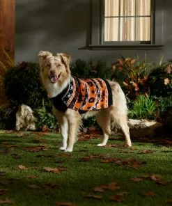 Frisco Fair Isle Pumpkin Dog & Cat Sweater -The Frisco Store 334922 PT7. SY630 V1659984178