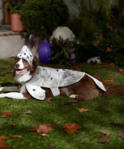 Frisco Seal Dog & Cat Costume -The Frisco Store 334980 PT7. SY630 V1657731231