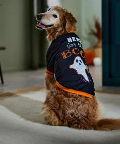 Frisco Here for the Boos Dog & Cat T-Shirt 12 Frisco Here for the Boos Dog & Cat T-Shirt -The Frisco Store 335004 PT7. SY630 V1657657478