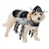 Frisco Spider Dog & Cat Costume 1 Frisco Spider Dog & Cat Costume -The Frisco Store 335012 MAIN. SY630 V1658716905
