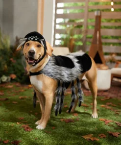 Frisco Spider Dog & Cat Costume -The Frisco Store 335012 PT7. SY630 V1658150712