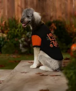 Frisco Little Beast Dog & Cat T-Shirt -The Frisco Store 335021 PT7. SY630 V1657720507