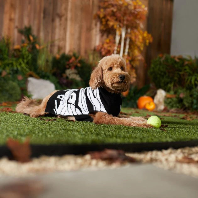 Frisco Mummy Dog & Cat Sweater 7 Frisco Mummy Dog & Cat Sweater - Image 5