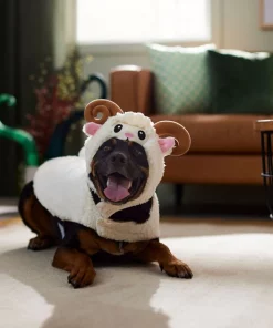 Frisco Sheep Dog & Cat Costume -The Frisco Store 335037 PT7. SY630 V1657728686