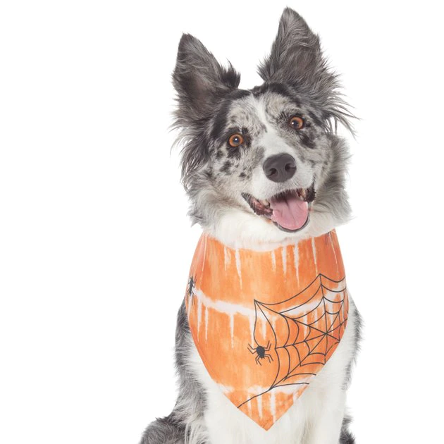 Frisco Orange Spiderweb Dog & Cat Costume Bandana 3 Frisco Orange Spiderweb Dog & Cat Costume Bandana