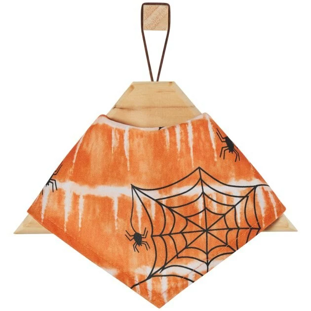 Frisco Orange Spiderweb Dog & Cat Costume Bandana 5 Frisco Orange Spiderweb Dog & Cat Costume Bandana - Image 3
