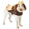 Frisco Owl Dog & Cat Costume