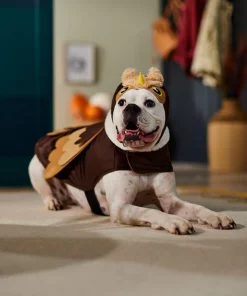 Frisco Owl Dog & Cat Costume -The Frisco Store 335049 PT7. SY630 V1657718971