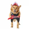 Frisco Punk Rocker Dog & Cat Costume -The Frisco Store 335082 MAIN. SY630 V1658345611