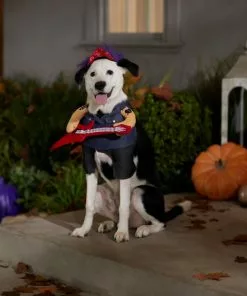 Frisco Punk Rocker Dog & Cat Costume -The Frisco Store 335082 PT7. SY630 V1657720508