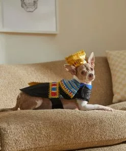 Frisco Royal Pharoah Dog & Cat Costume -The Frisco Store 335113 PT7. SY630 V1659537098