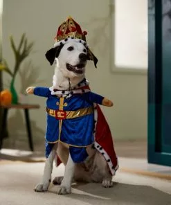 Frisco Front Walking Royal King Dog & Cat Costume -The Frisco Store 335122 PT7. SY630 V1657718739