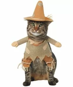 Frisco Front Walking Scarecrow Dog & Cat Costume 12 Frisco Front Walking Scarecrow Dog & Cat Costume -The Frisco Store 335133 PT2. SY630 V1658348508