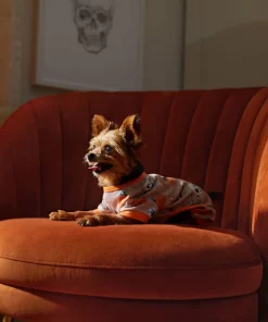 Frisco Spooky Printed Dog & Cat Jersey PJs -The Frisco Store 335170 PT7. SY630 V1657730462