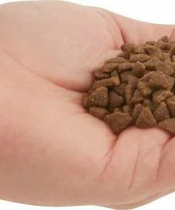 ACANA||Frisco ACANA First Feast Kitten Dry Cat Food + Frisco Multi-Cat Unscented Clumping Clay Litter -The Frisco Store 338643 PT3. SY630 V1635909934