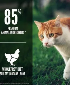 ORIJEN||Frisco ORIJEN Fit & Trim Grain-Free Dry Food + Frisco Colorful Springs Cat Toy 15 ORIJEN||Frisco ORIJEN Fit & Trim Grain-Free Dry Food + Frisco Colorful Springs Cat Toy -The Frisco Store 338697 PT4. SY630 V1635896619