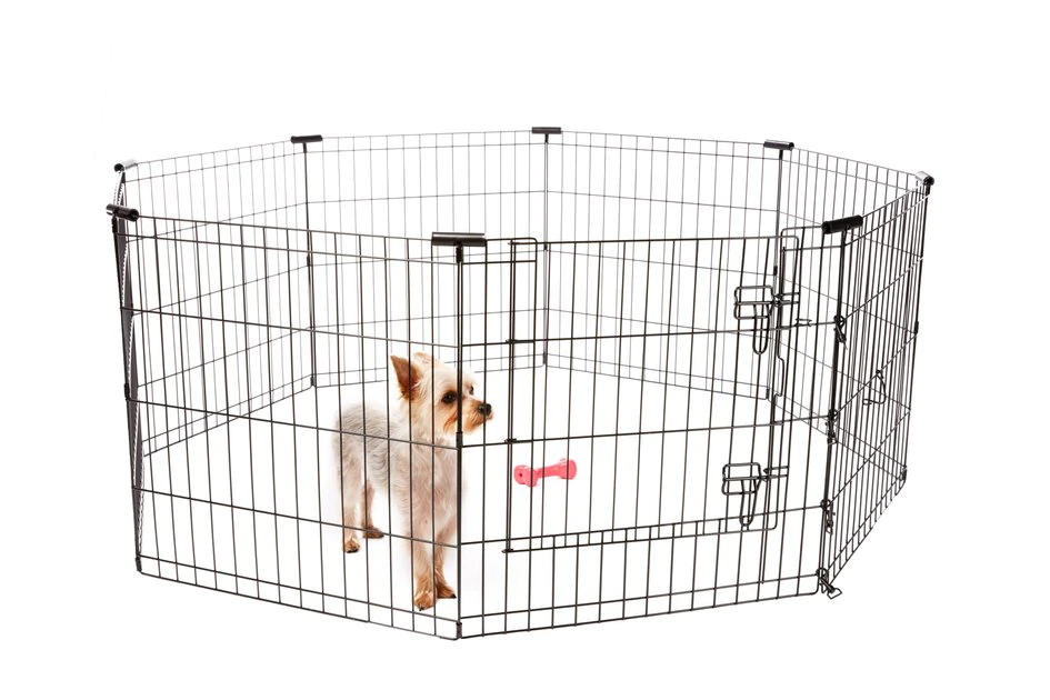 Frisco Wire Dog & Small Pet Exercise Pen with Step-Through Door 10 Frisco Wire Dog & Small Pet Exercise Pen with Step-Through Door - Image 8