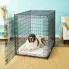 Frisco XX-Large Heavy Duty Double Door Wire Dog Crate, 54 inch 1 Frisco XX-Large Heavy Duty Double Door Wire Dog Crate, 54 inch -The Frisco Store 97489 MAIN. SY630 V1598646673